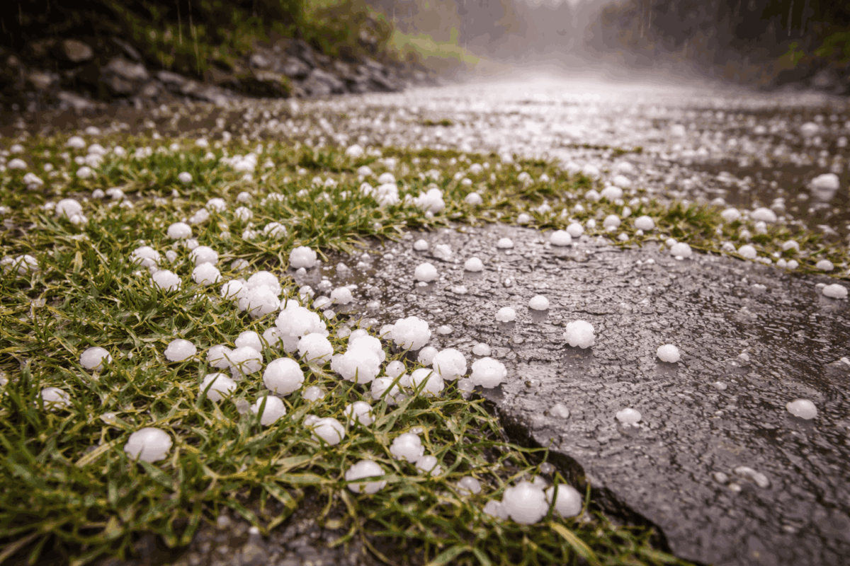 शिमला के कुमारसैन में भारी बारिश-ओलावृष्टि