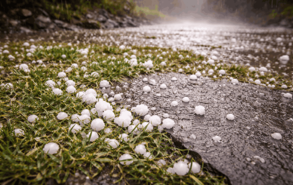 कुमारसैन में मौसम ने मचाई तबाही: बारिश और ओलावृष्टि से फसलें प्रभावित, ठंड ने बढ़ाया आतंक