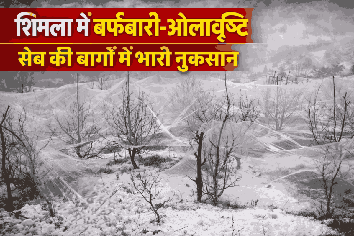 Himachal weather update hailstorm snowfall Shimla 2026