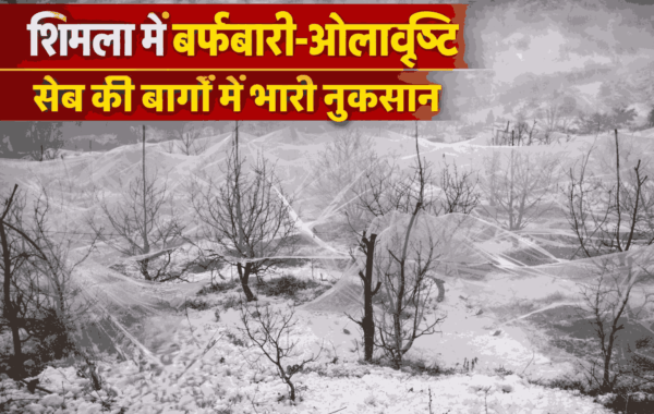 Himachal Weather Update 2026: बड़ी चेतावनी! शिमला में ओलावृष्टि और बर्फबारी, 7-8 अप्रैल ऑरेंज अलर्ट