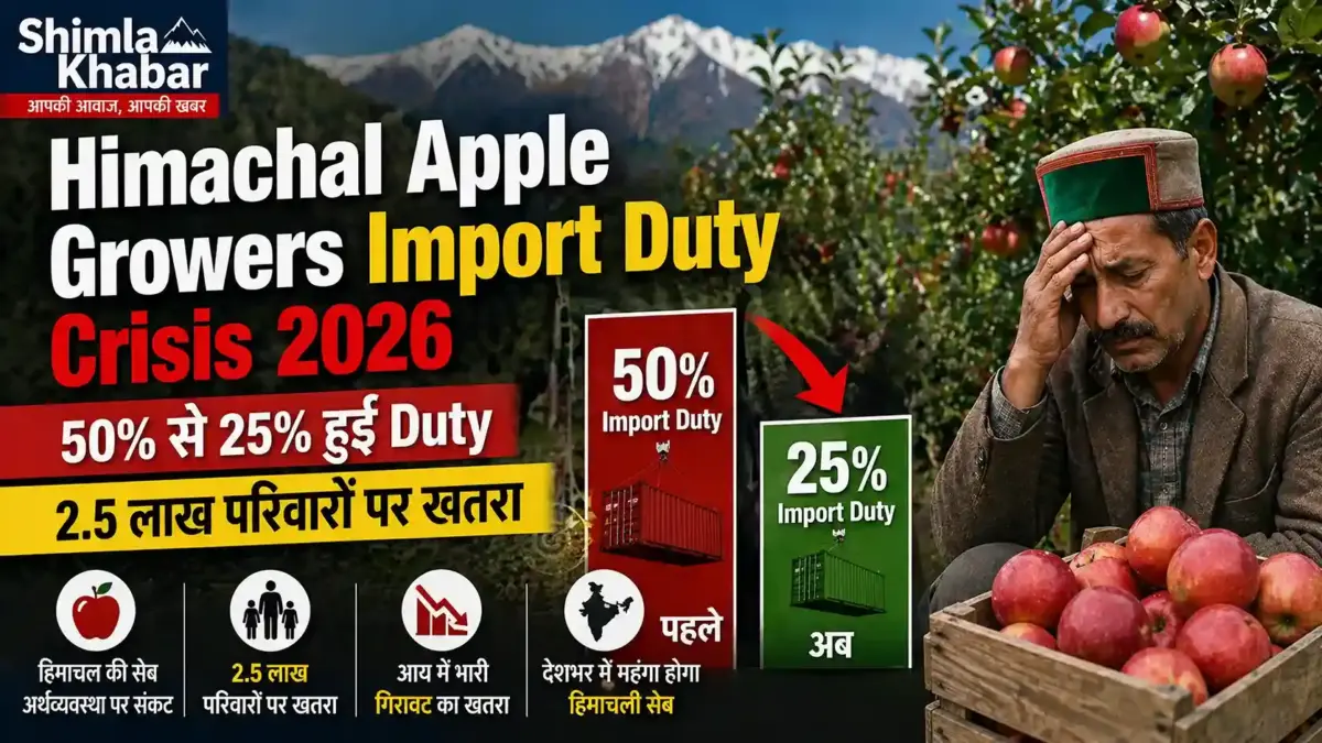 Himachal apple growers import duty crisis 2026 — सेब बागवान और आयात शुल्क कटौती का असर