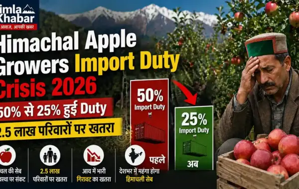 Himachal Apple Growers Import Duty Crisis 2026: 50% से 25% हुई Duty, 2.5 लाख परिवारों पर खतरा