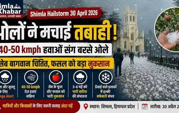 Shimla Hailstorm 30 April 2026: ओलों ने मचाई तबाही, 40-50 kmph हवाओं संग बरसे ओले