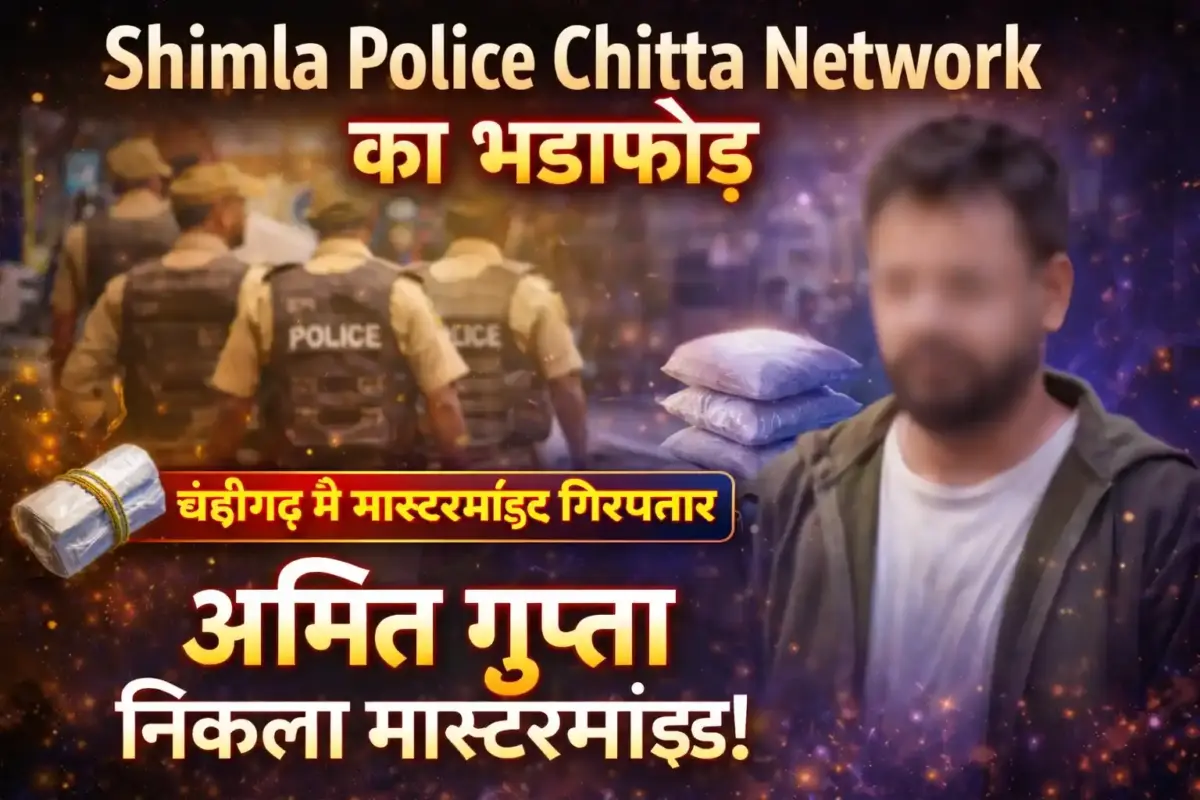 Shimla police chitta network ka bhanda phod, Chandigarh se mastermind giraftaar, blurred accused face ke saath police action aur drug packets background mein, Rohru aur Chirgaon network expose news thumbnail