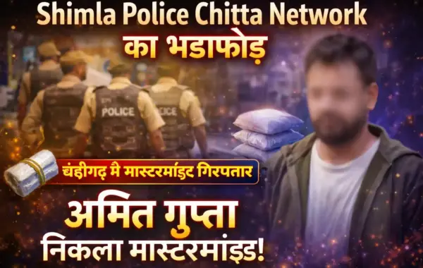 Shimla Police Chitta Network का भंडाफोड़ – चंडीगढ़ से पकड़ा मास्टरमाइंड, यूपी का निकला मुख्य सप्लायर