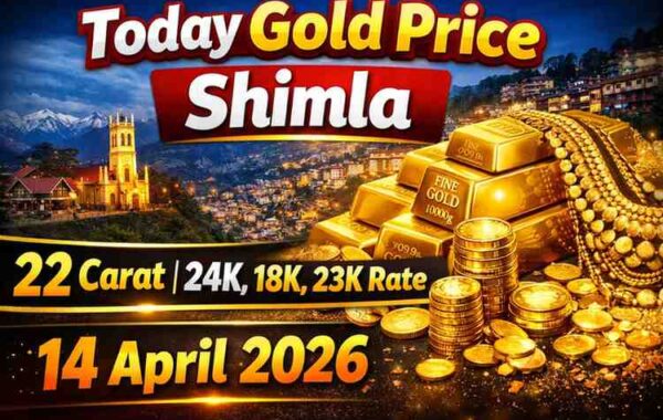 Today Gold Price Shimla 22 Carat | 24K, 18K, 23K Rate 14 April 2026