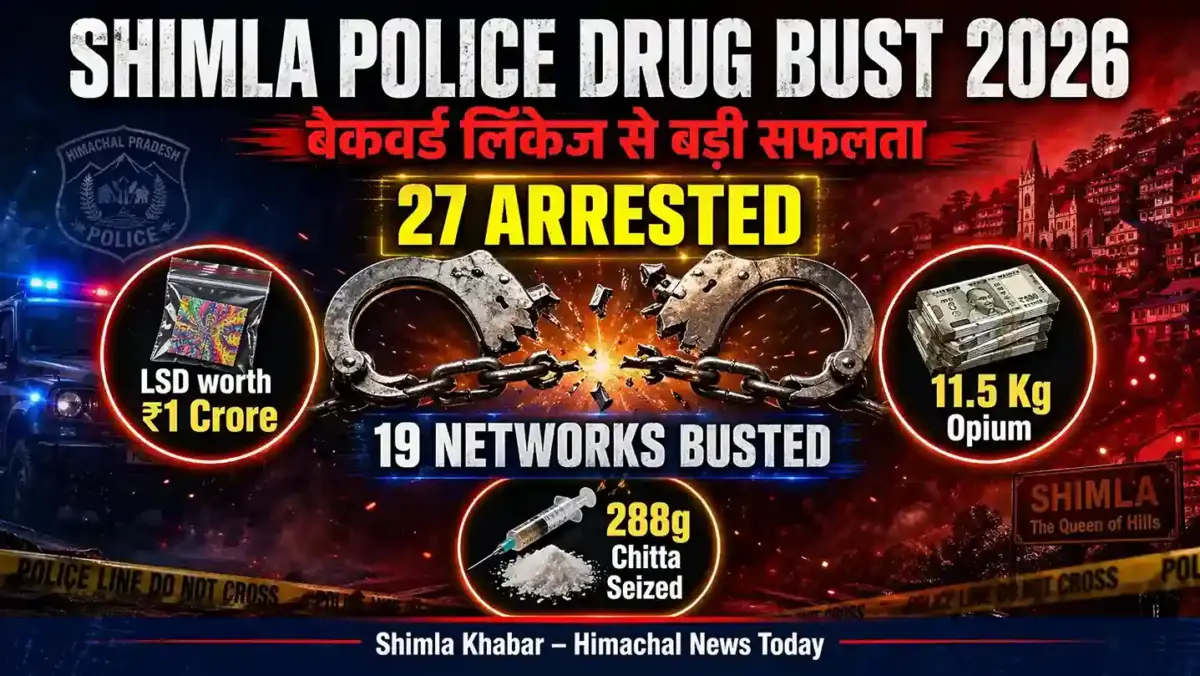 shimla police drug bust 2026 27 traffickers arrested 19 networks busted