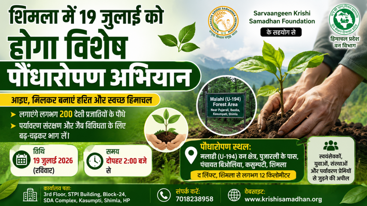शिमला में 19 जुलाई को होगा विशेष पौधारोपण