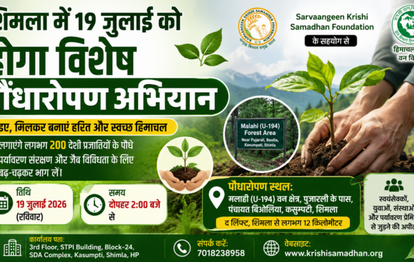 शिमला में 19 जुलाई को होगा विशेष पौधारोपण अभियान