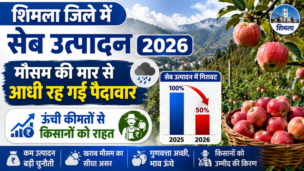 शिमला जिले में सेब उत्पादन 2026