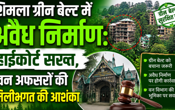 शिमला ग्रीन बेल्ट में अवैध निर्माण